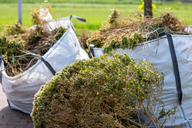 Professional Junk Removal in Dakota Ridge, CO